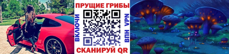 блэк спрут ССЫЛКА  Ливны  Псилоцибиновые грибы MAGIC MUSHROOMS 